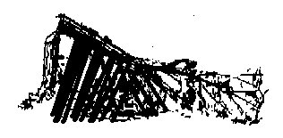 Lean-To Shelter Diagram (Figure 4)