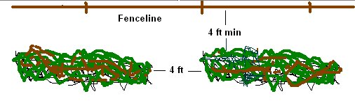Pic #4:  A typical brush pile placement